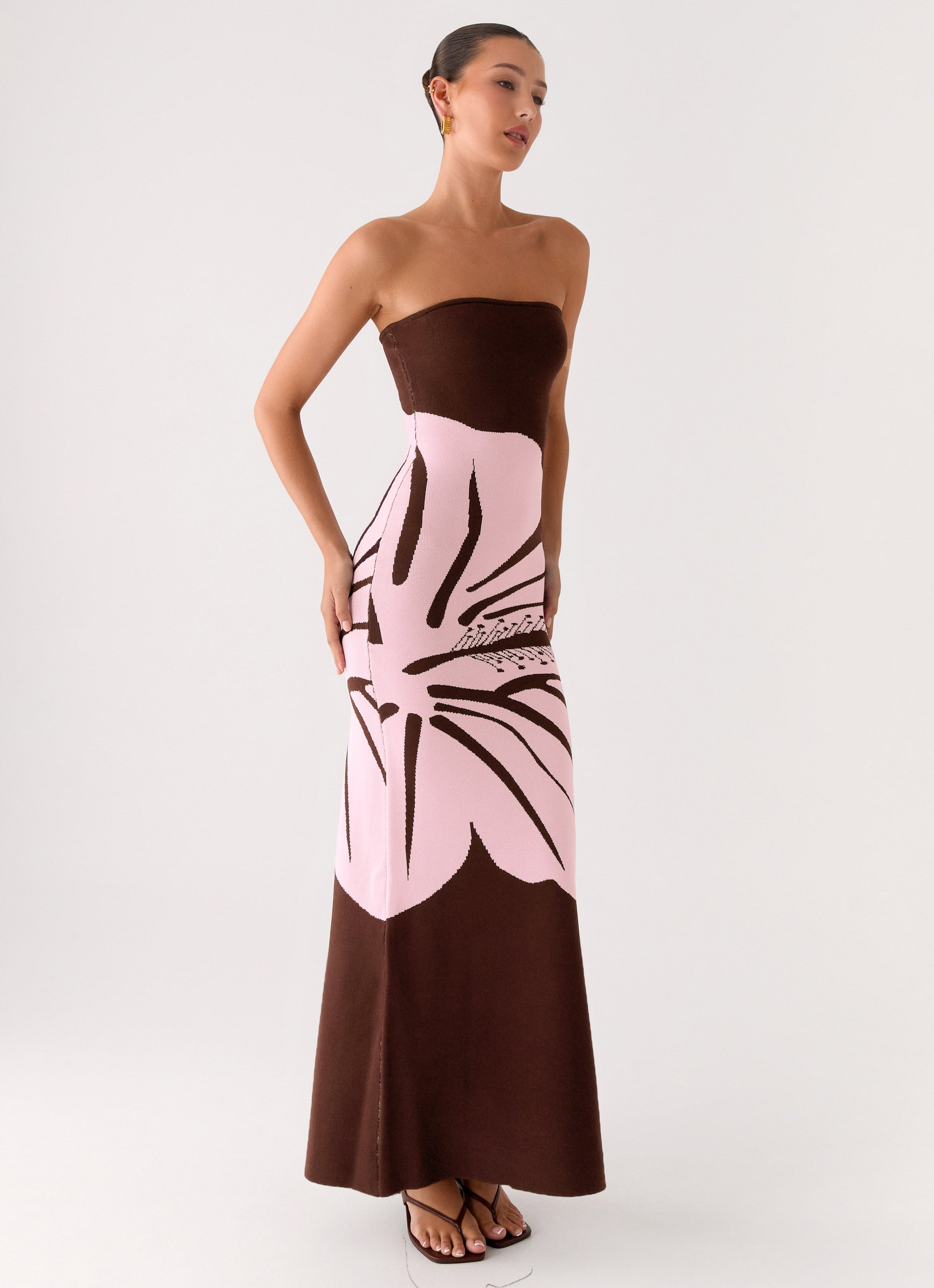Jala Strapless Knit Maxi Dress - Espresso Meadow